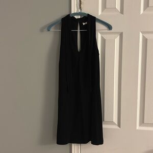 Aritzia Dress